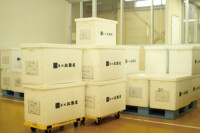 プラスティック保管箱